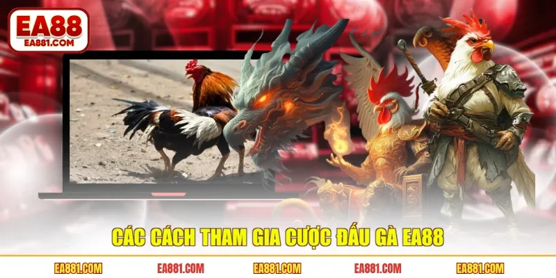 Các cách tham gia cược đấu gà EA88