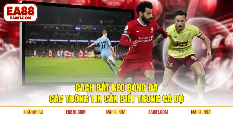 Cách Bắt Kèo Bóng Đá - Các Thông Tin Cần Biết Trong Cá Độ