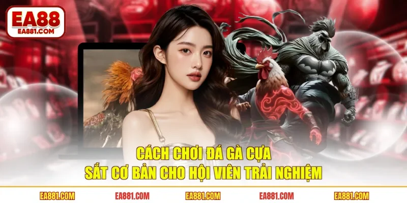 Cách Chơi Đá Gà Cựa Sắt Cơ Bản Cho Hội Viên Trải nghiệm