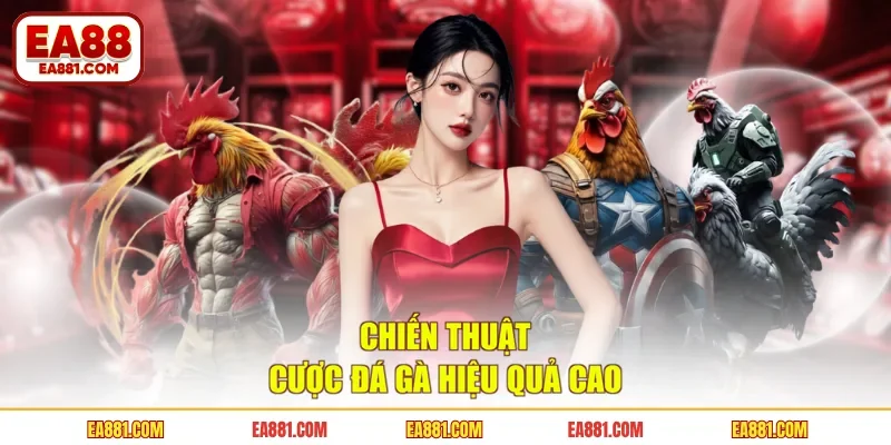 Chiến thuật cược đá gà hiệu quả cao