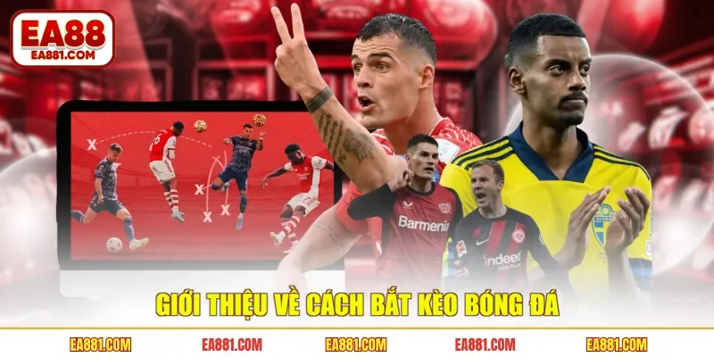 Giới thiệu về cách bắt kèo bóng đá