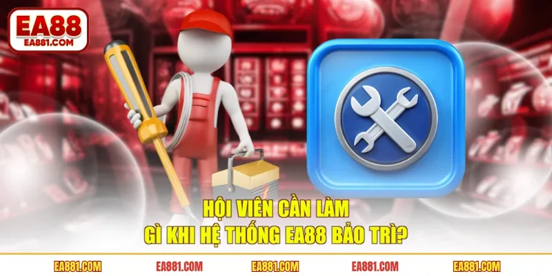 Hội viên cần làm gì khi hệ thống EA88 bảo trì?