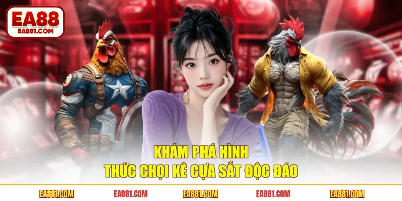 Khám phá hình thức chọi kê cựa sắt độc đáo