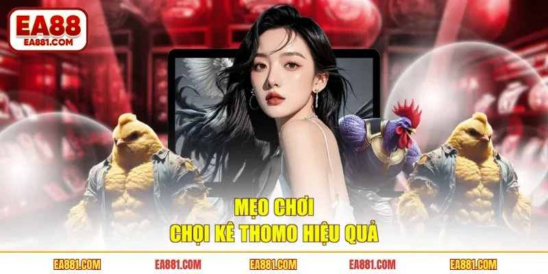Mẹo chơi chọi kê thomo hiệu quả
