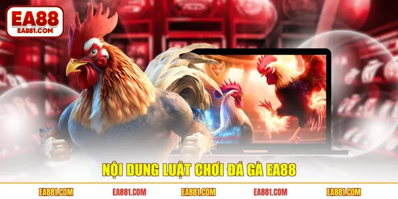 Nội dung luật chơi đá gà EA88