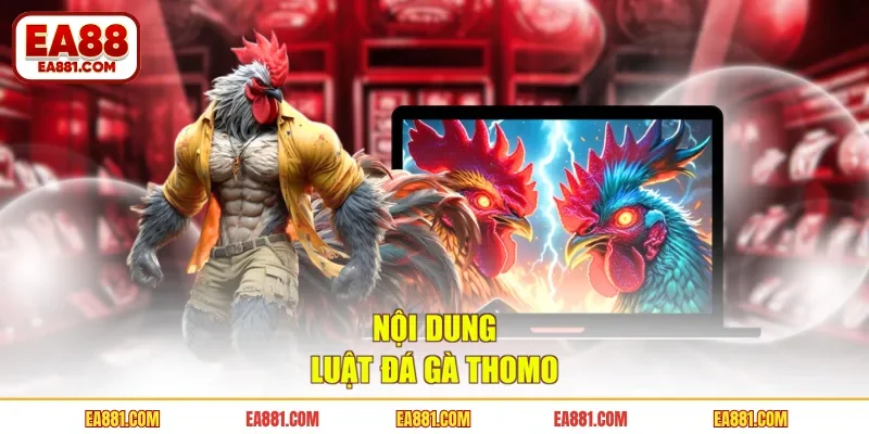Nội dung luật đá gà thomo