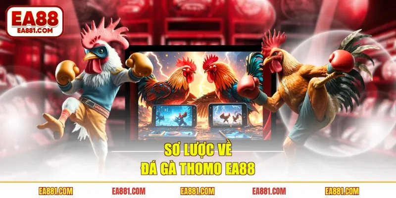 Sơ lược về đá gà thomo EA88