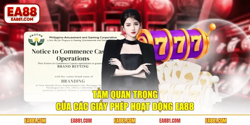 Tầm quan trọng của các giấy phép hoạt động EA88