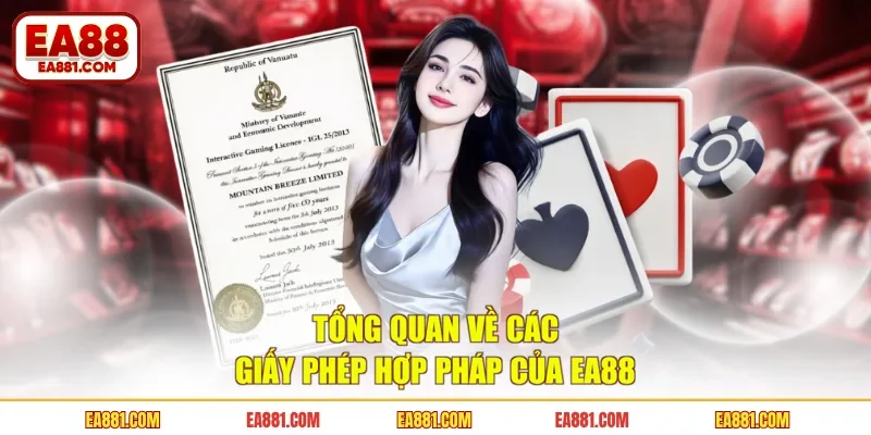Tổng quan về các giấy phép hợp pháp của EA88