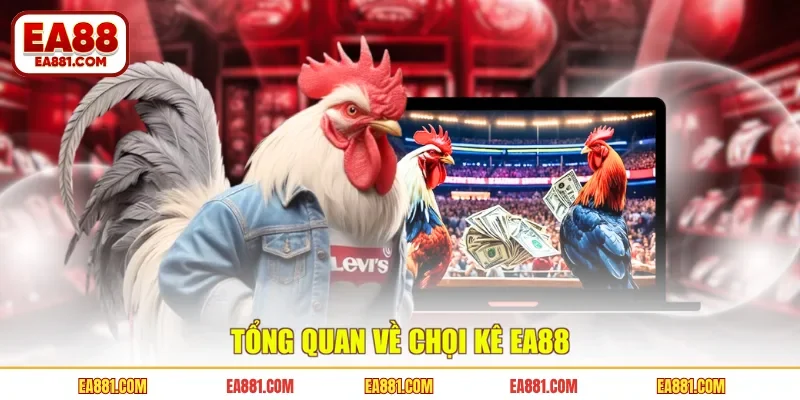 Tổng quan về chọi kê EA88